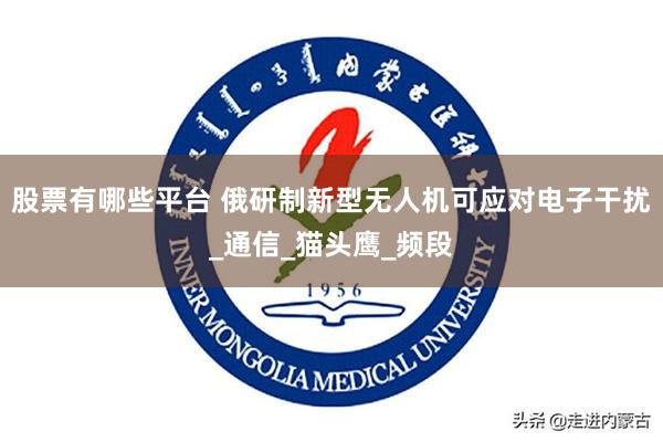 股票有哪些平台 俄研制新型无人机可应对电子干扰_通信_猫头鹰_频段