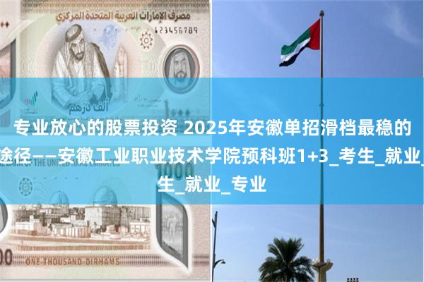 专业放心的股票投资 2025年安徽单招滑档最稳的升学途径——安徽工业职业技术学院预科班1+3_考生_就业_专业