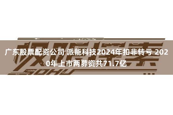 广东股票配资公司 派能科技2024年扣非转亏 2020年上市两募资共71.7亿
