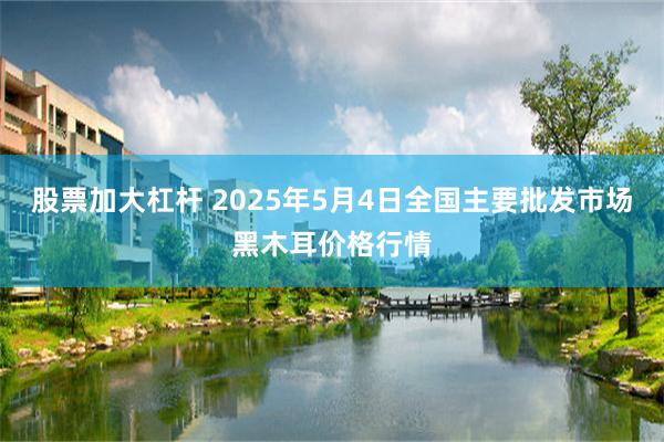 股票加大杠杆 2025年5月4日全国主要批发市场黑木耳价格行情