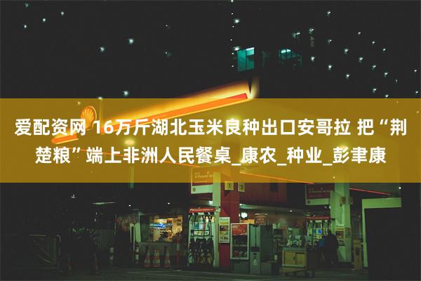 爱配资网 16万斤湖北玉米良种出口安哥拉 把“荆楚粮”端上非洲人民餐桌_康农_种业_彭聿康