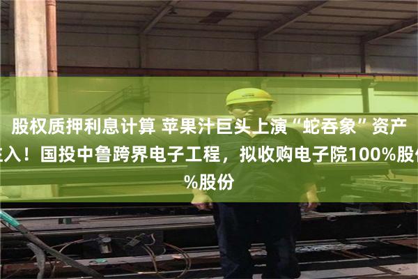 股权质押利息计算 苹果汁巨头上演“蛇吞象”资产注入！国投中鲁跨界电子工程，拟收购电子院100%股份