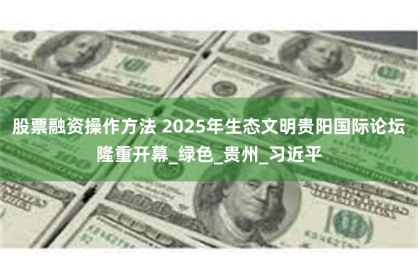 股票融资操作方法 2025年生态文明贵阳国际论坛隆重开幕_绿色_贵州_习近平
