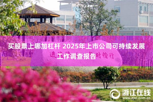 买股票上哪加杠杆 2025年上市公司可持续发展工作调查报告