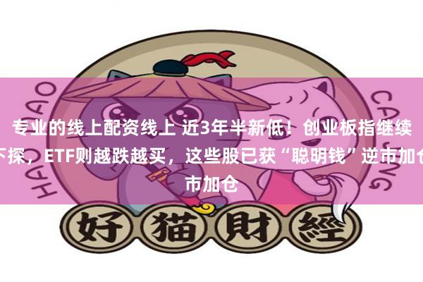 专业的线上配资线上 近3年半新低！创业板指继续下探，ETF则越跌越买，这些股已获“聪明钱”逆市加仓