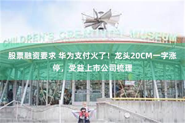 股票融资要求 华为支付火了！龙头20CM一字涨停，受益上市公司梳理